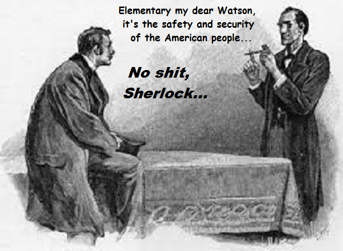 sherlock-and-dr-watson-safety-and-security-no-shit-sherlock
