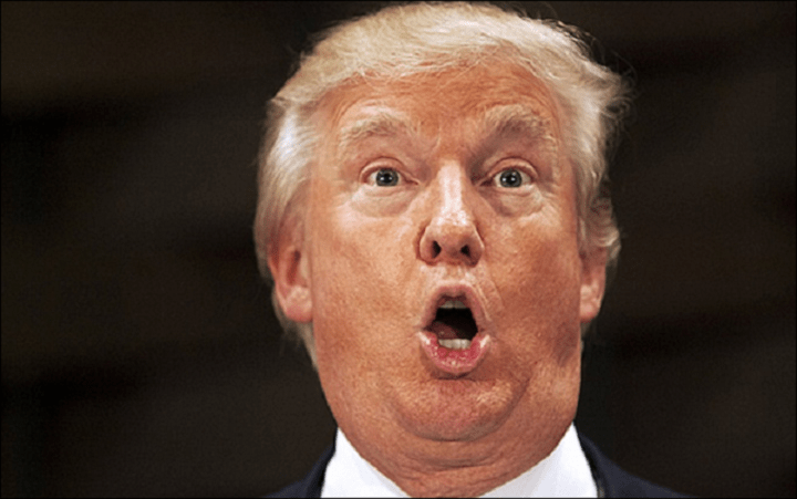 trump-idiot-look-double