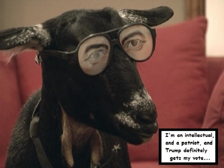 cool-goat-trump-vote