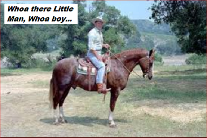 reagans-horse-whoa-little-man