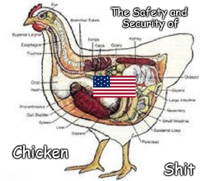 safety-and-security-of-chicken-shit