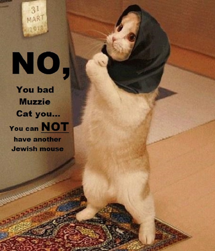 cat-with-shawl-bad-muzzie-cat-jewish-mouse