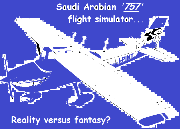 cessna-saudi-arabian-flight-simulator-purple-blue