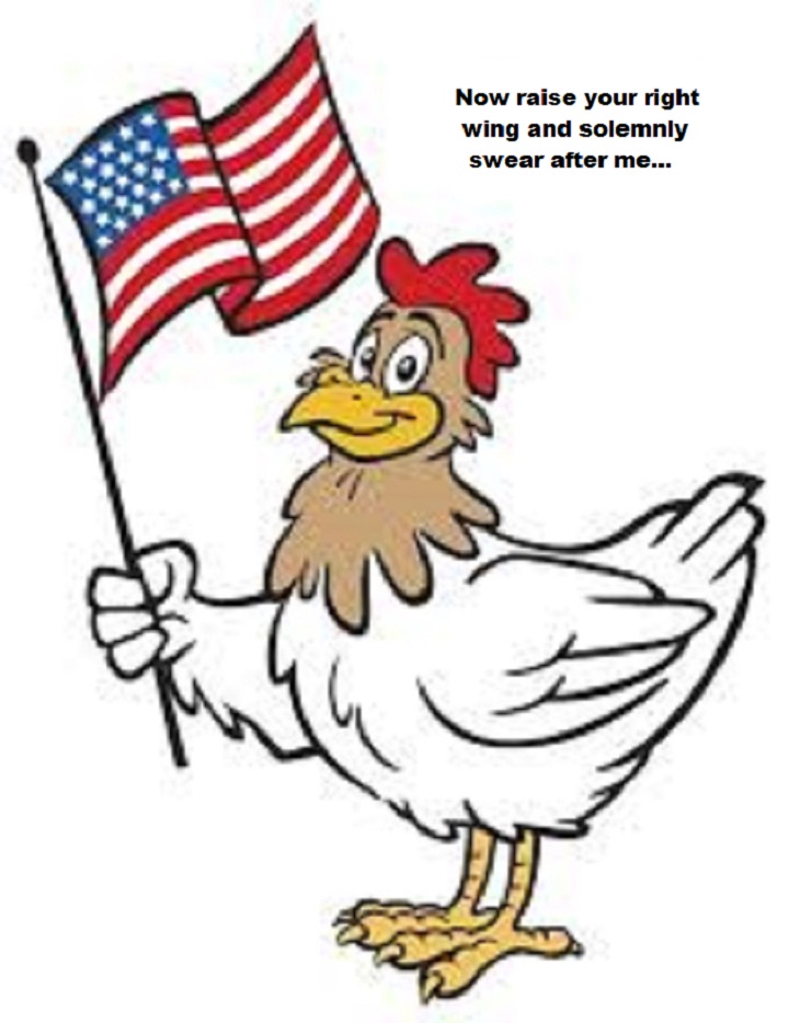 chicken-usa-raise-your-right-wing