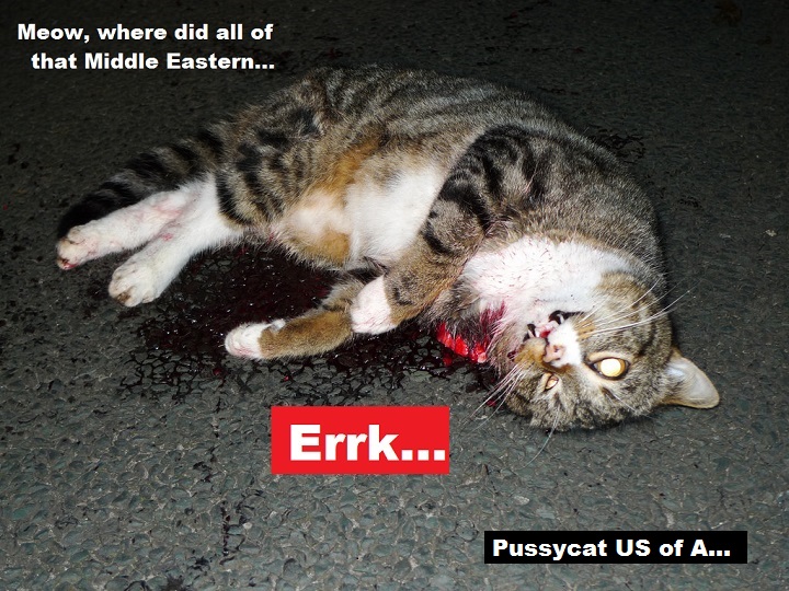 dead-cat-middle-east-gold-pussycat-us-of-a