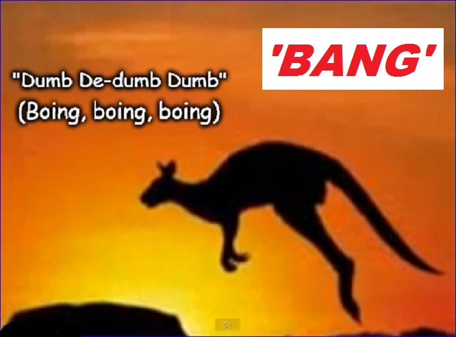 kangaroo-boing-dumb-bang