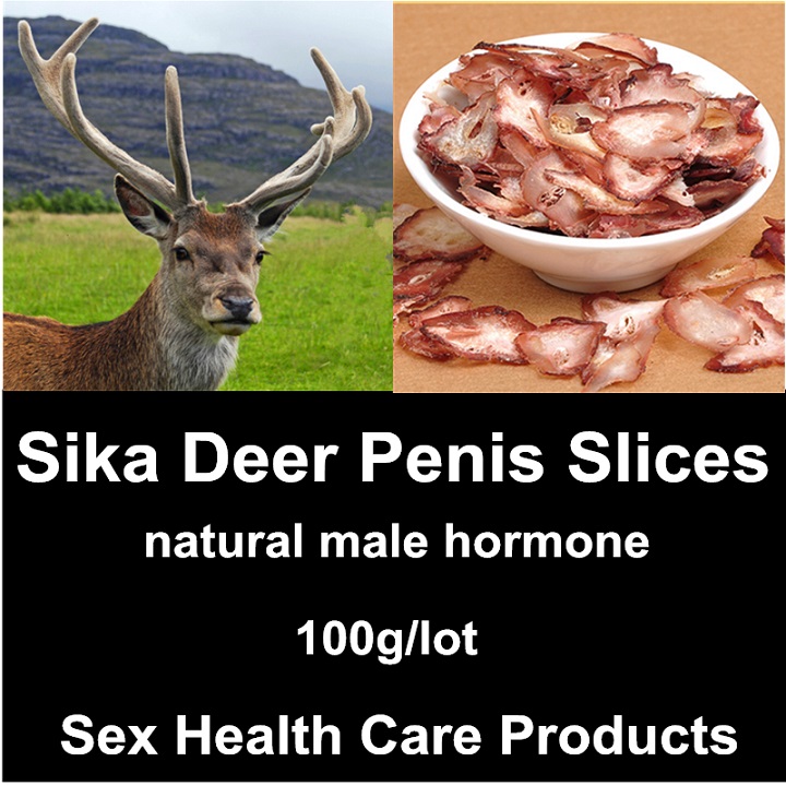sika-deer-penis