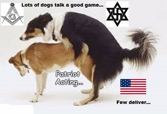 american-patriot-act-dog