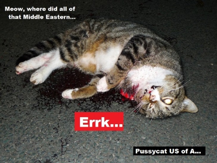 dead-cat-middle-east-gold-pussycat-us-of-a
