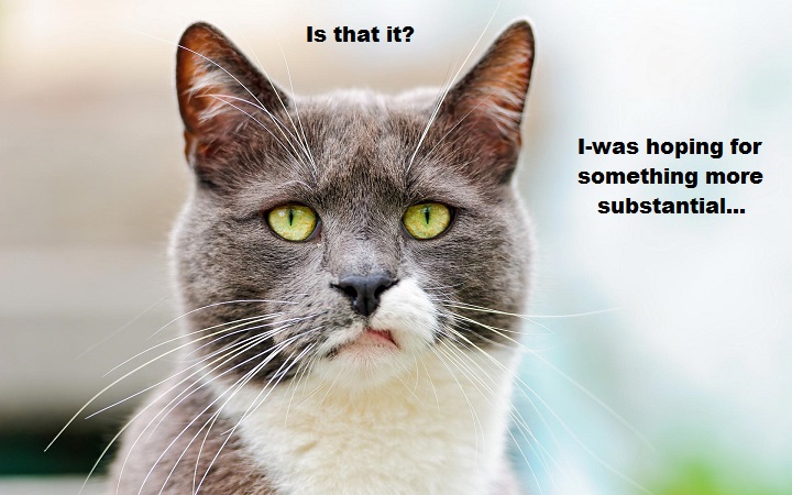 disappointed-cat-is-that-it