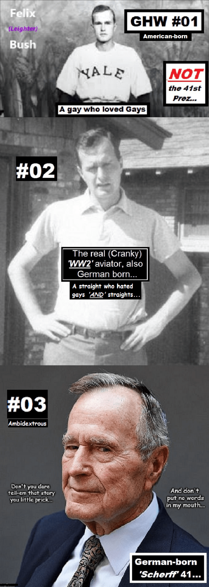 ghw-bush-american-georges