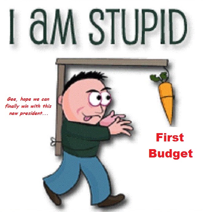 i-am-stupid-carrot-first-budget