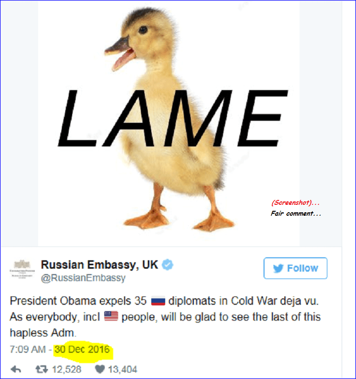 lame-duck-russian-tweet