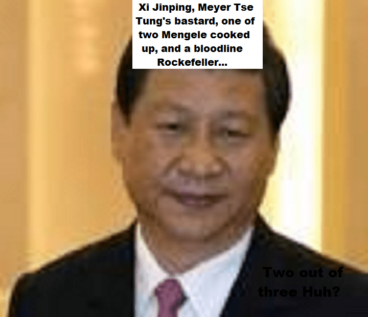 meyer-tse-tungs-bastard-xi-jinping