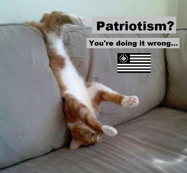 patriotism-youre-doing-it-wrong-nazi-cat