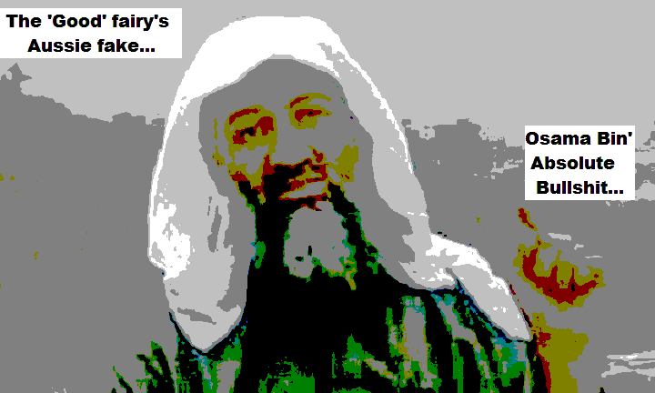 peter-william-osama-vanstone-fairy-absolute-bullshit