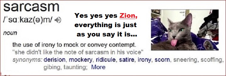 sarcasm-cat-yes-yes-yes-zion-720