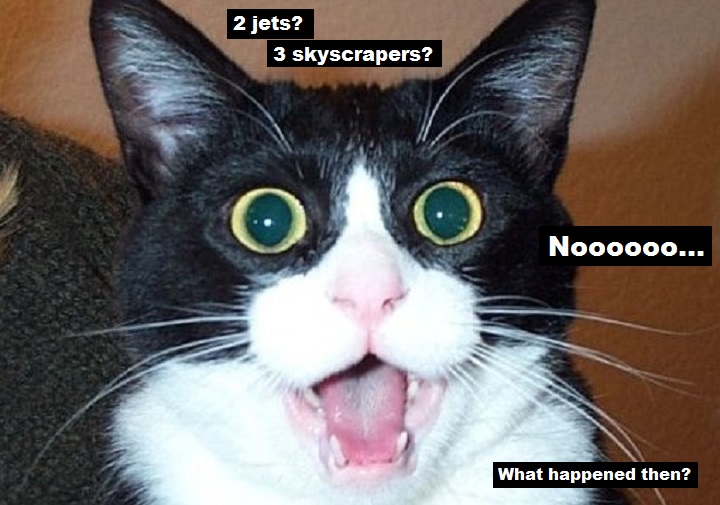 surprise-cat-two-jets-3-skyscrapers