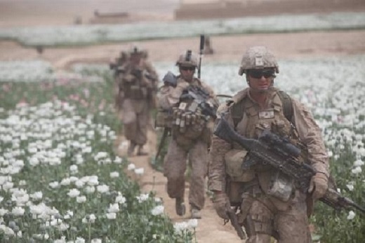 afghanistan-opium-520