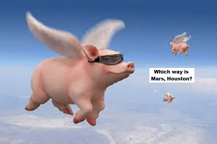 flying-pigs-which-way-is-mars-houston