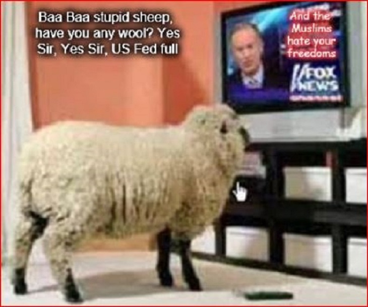 baa-baa-stupid-sheep-muslims-fox-news-us-fed