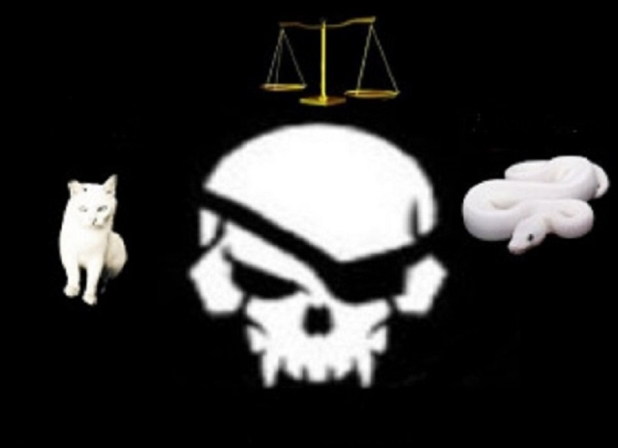 “This political process is mine”…