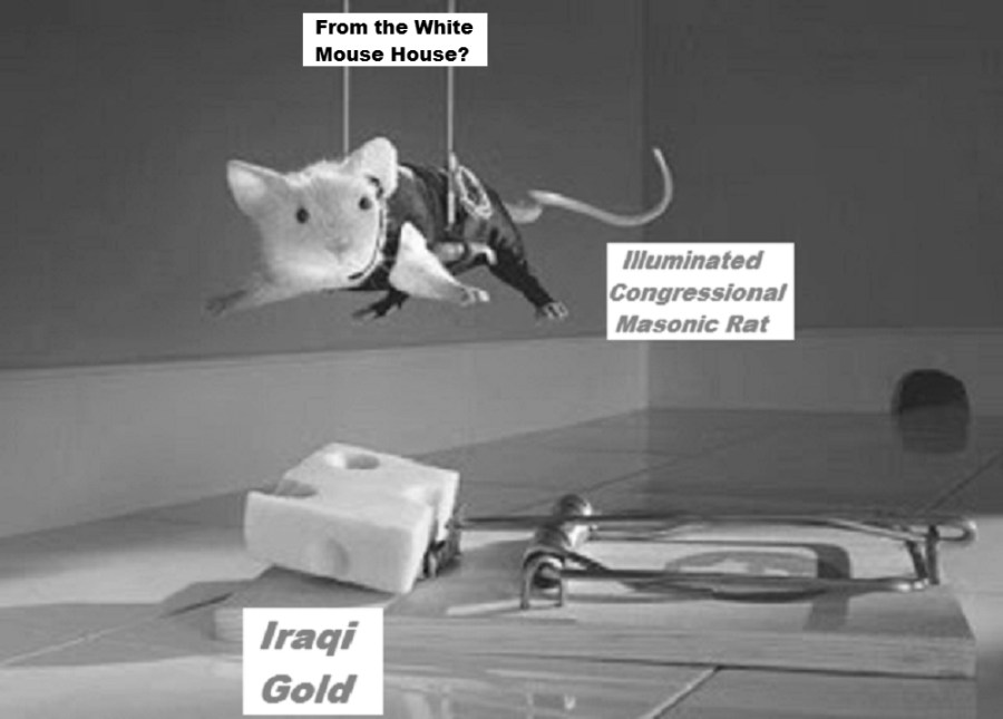 When the cat’s are all&nbsp;gay…