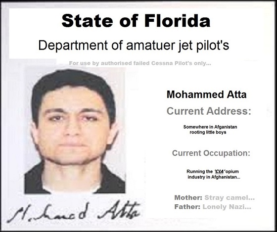 Atta-jet-pilot-licence 560