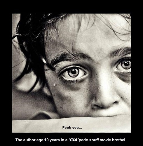 Robby 10 yo good image 490 (2)