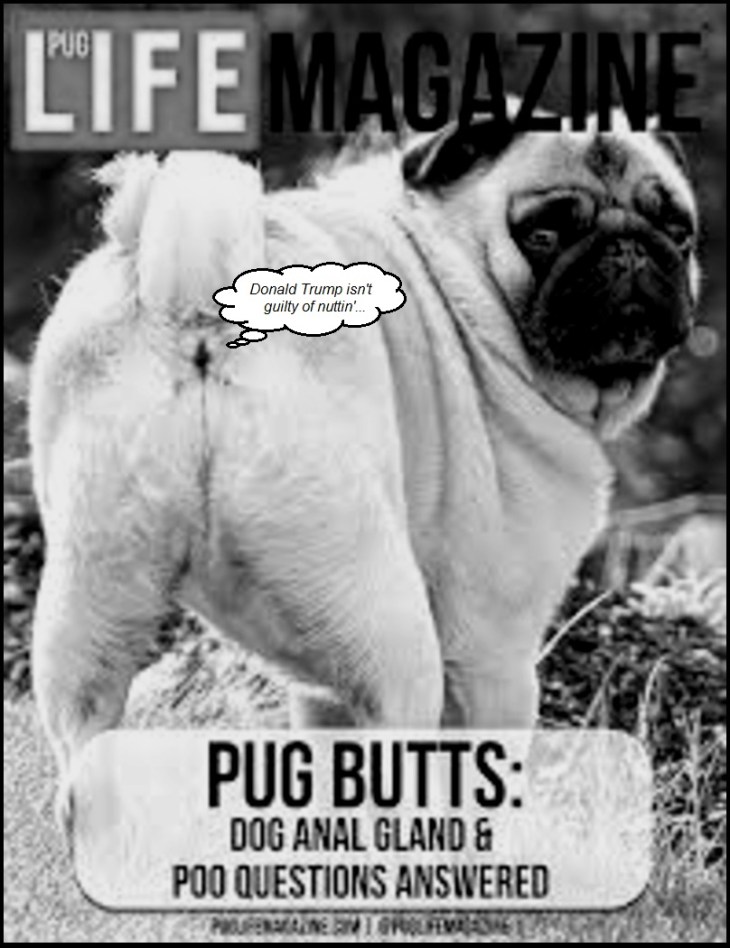 Pug Life Donald Trump BW 800