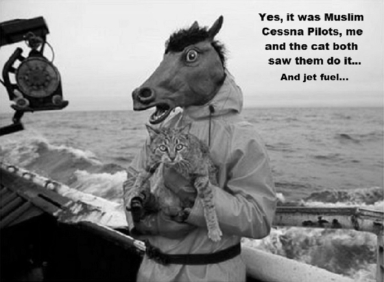 horse-cat-cessna pilot's BW 560