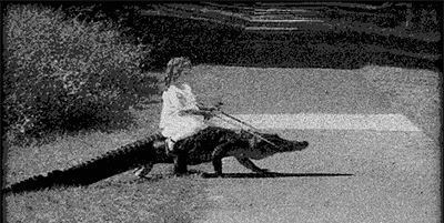 Alligator GIF BW 400