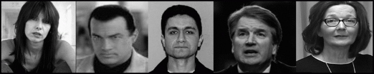 The Schwammberger swarm Hynde Seagal Atta Kavanaugh Haspel