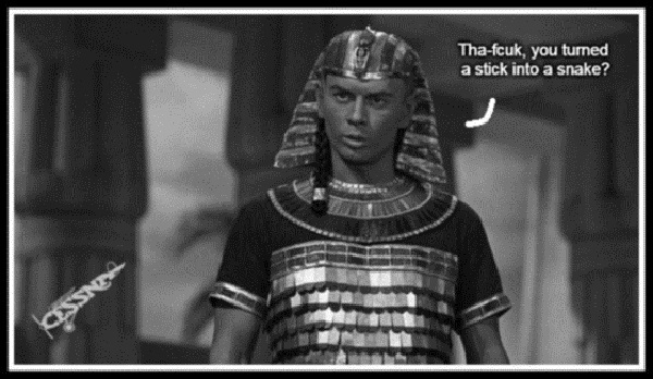 aaa-pharaoh-cessna-stick-snake-bw-600