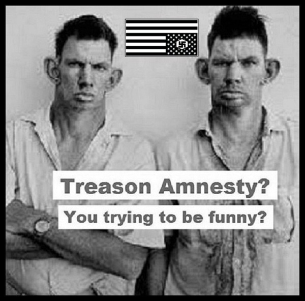 american-nazi-treason-amnesty-600