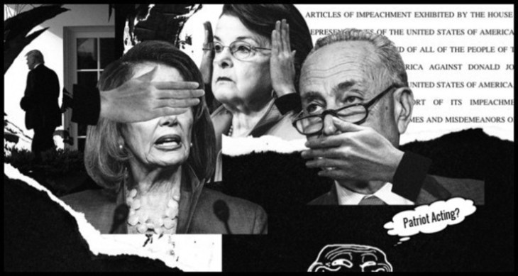 Democrat Patriot Act LARGE