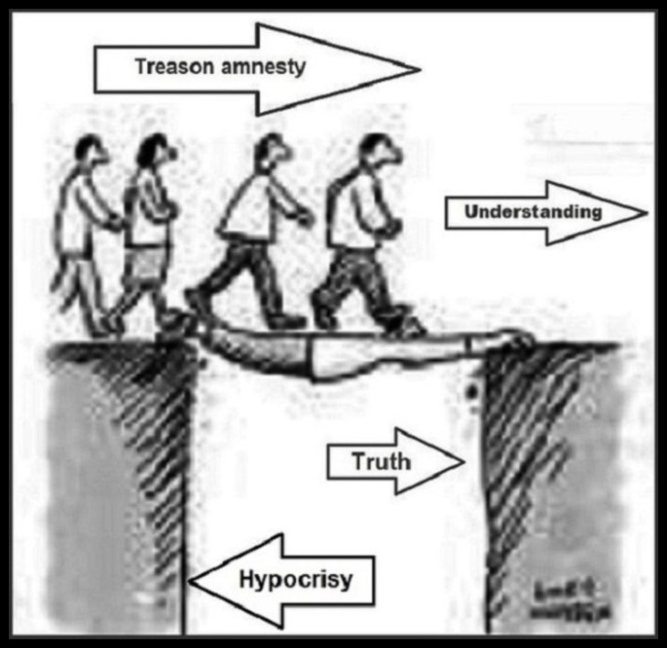 AMNESTY Treason Large Border