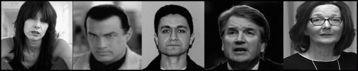 the-schwammberger-swarm-hynde-seagal-atta-kavanaugh-haspel